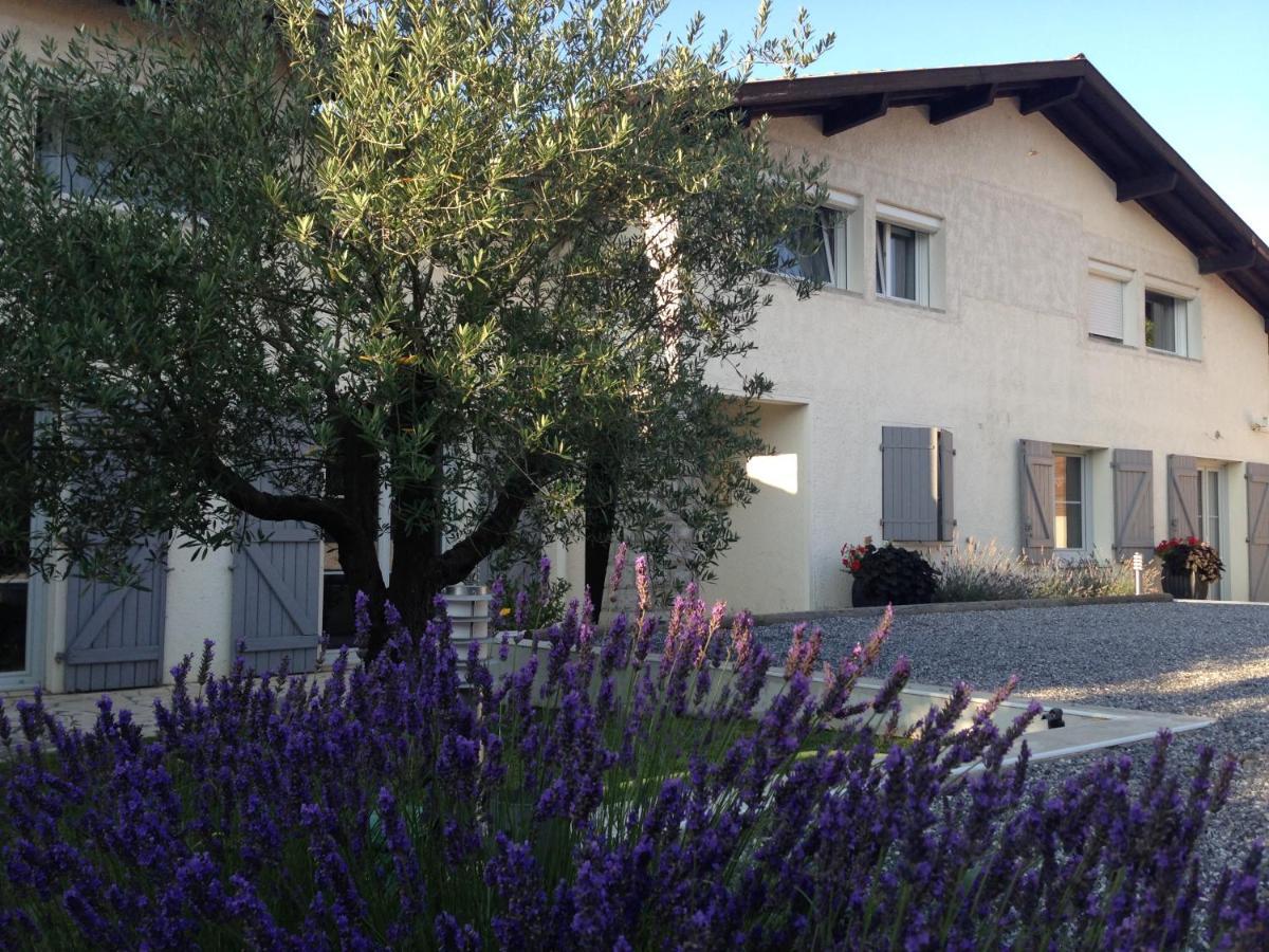 Bed and Breakfast Aux Sources D'Hossegor Soorts-Hossegor Exterior foto
